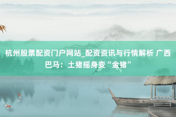 杭州股票配资门户网站_配资资讯与行情解析 广西巴马:土猪摇身变“金猪”
