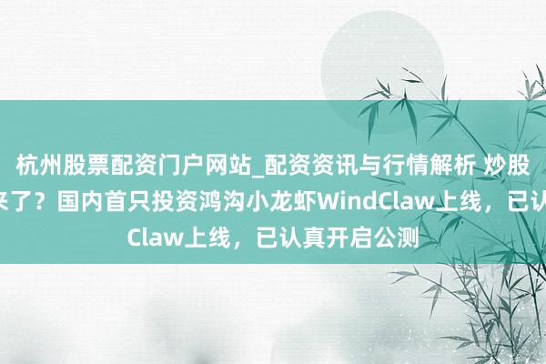杭州股票配资门户网站_配资资讯与行情解析 炒股“小龙虾”来了？国内首只投资鸿沟小龙虾WindClaw上线，已认真开启公测